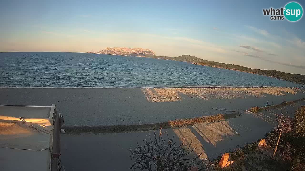 Der Strand von Pittulongu Live-Webcam Olbia – Sardinien – Italien