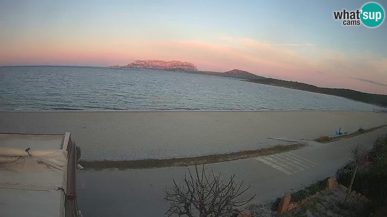 The beach of Pittulongu live webcam Olbia – Sardinia – Italy