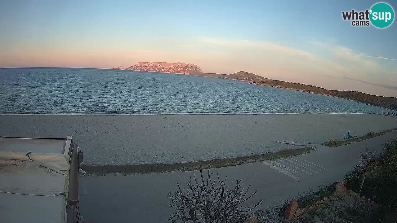 The beach of Pittulongu live webcam Olbia – Sardinia – Italy