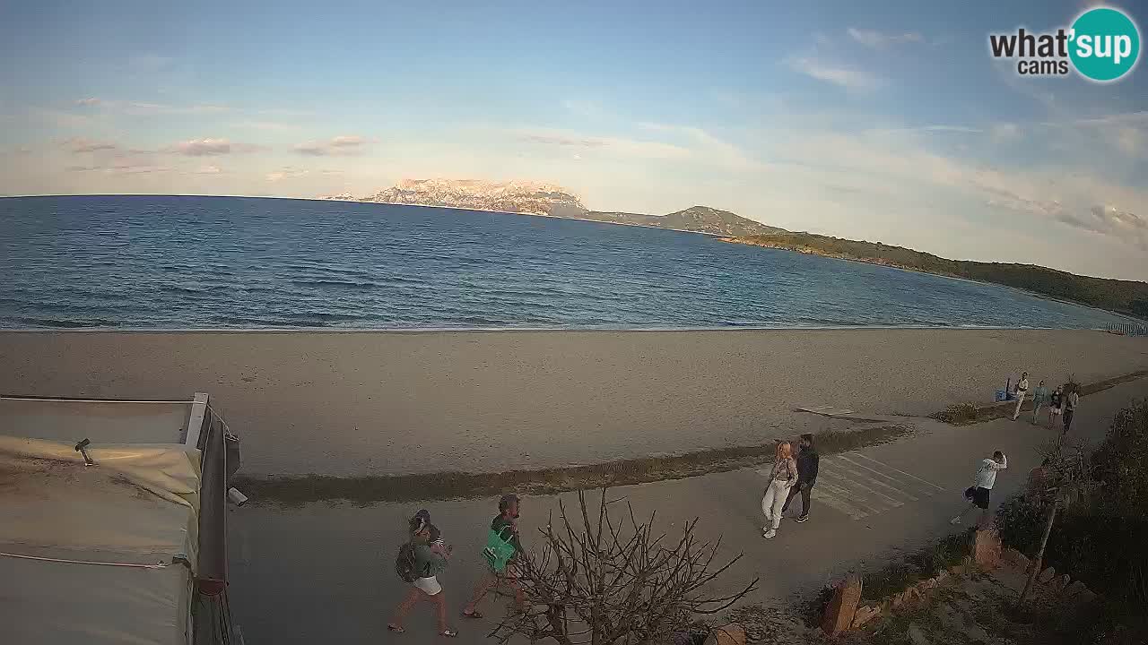 La webcam spiaggia Pittulongu vicino Olbia – Sardegna