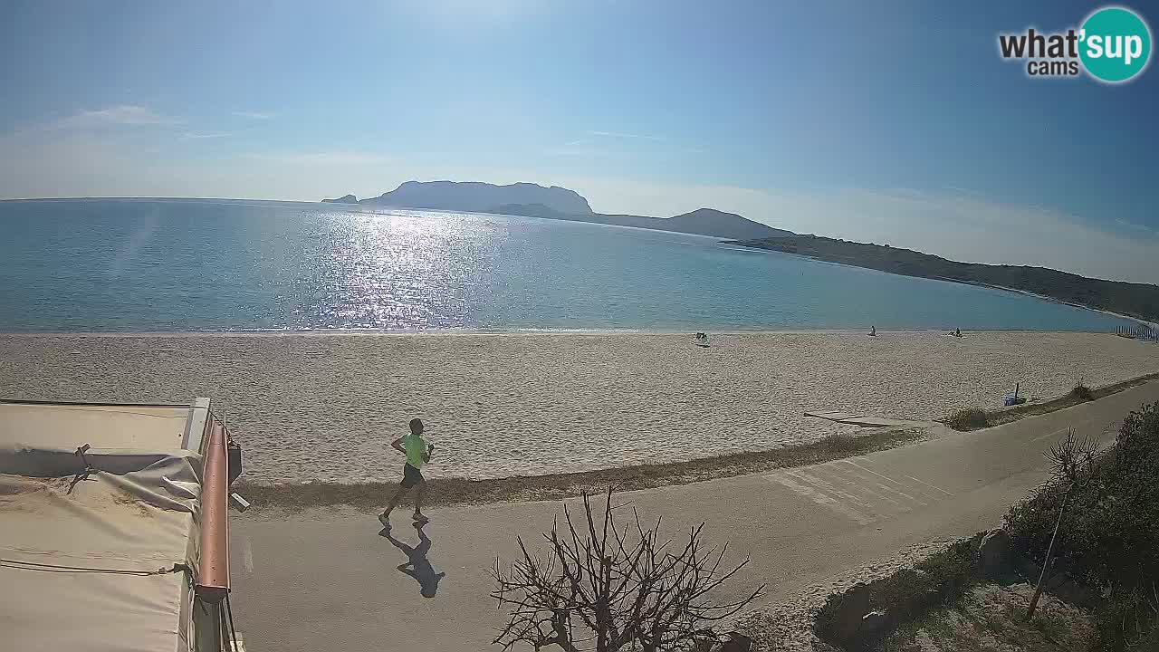 The beach of Pittulongu live webcam Olbia – Sardinia – Italy