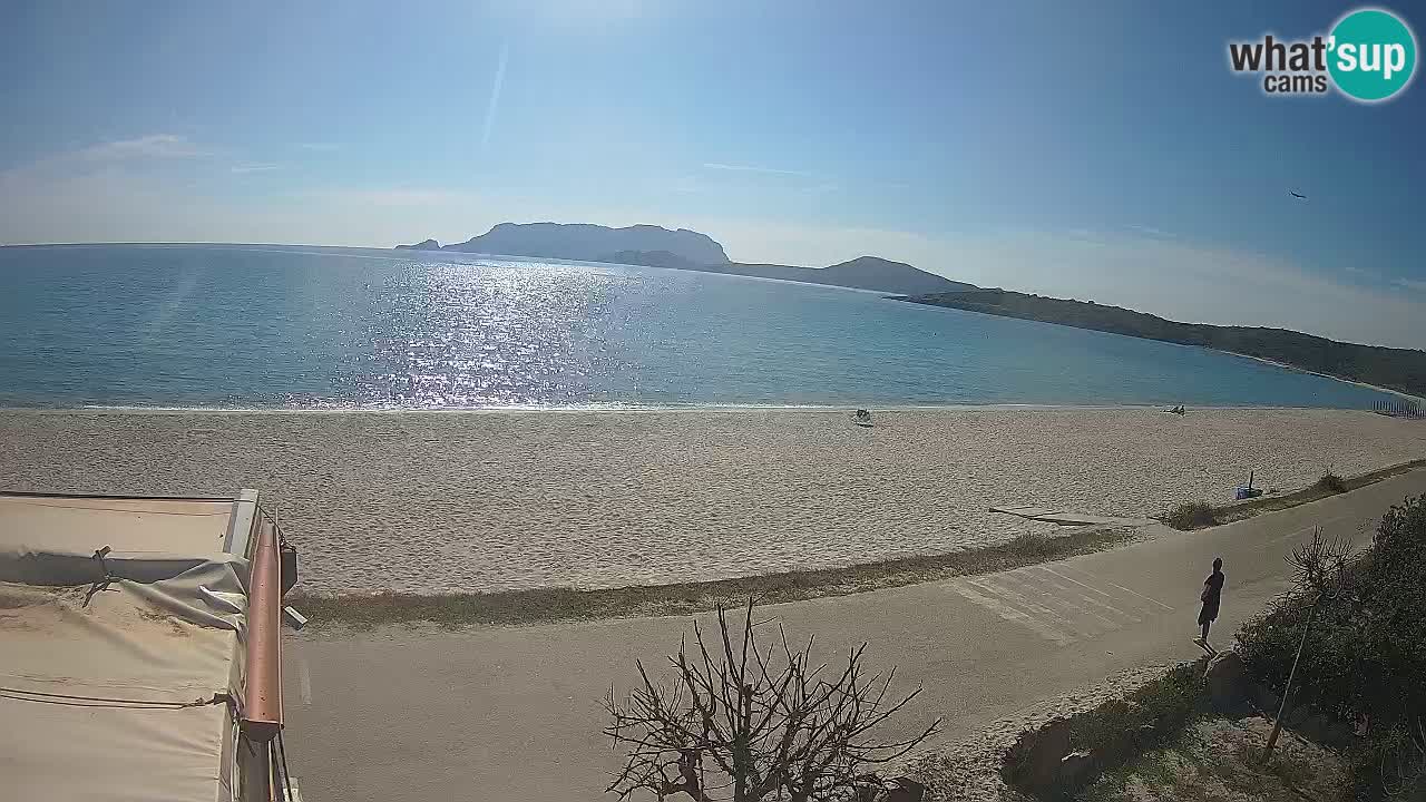 Plaža Pittulongu spletna kamera v živo Olbia – Sardinija – Italija