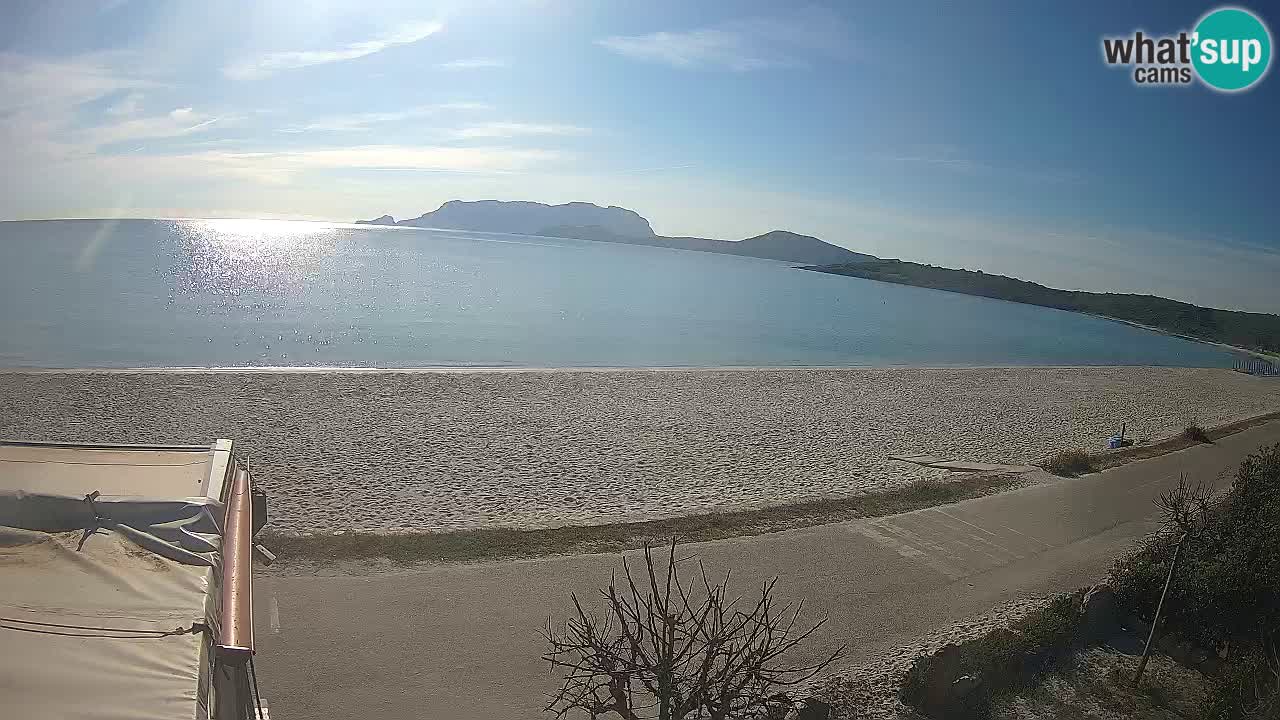 Der Strand von Pittulongu Live-Webcam Olbia – Sardinien – Italien