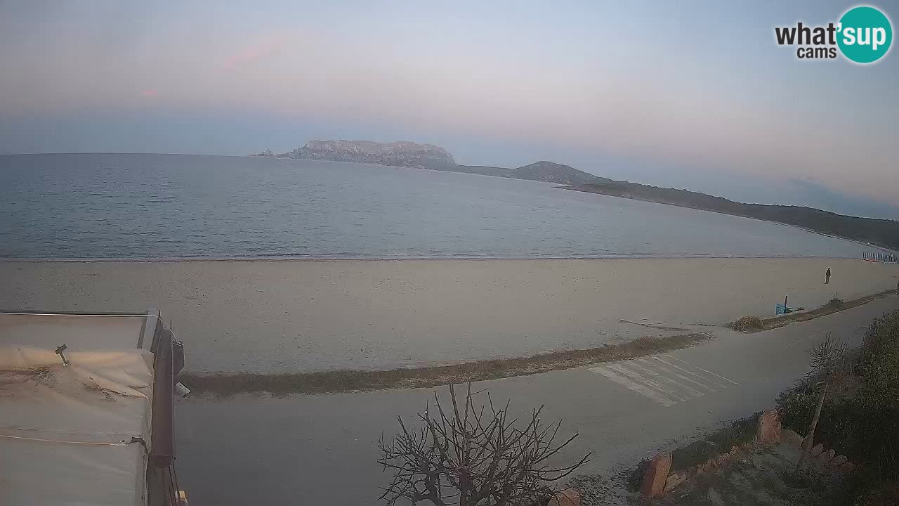 The beach of Pittulongu live webcam Olbia – Sardinia – Italy