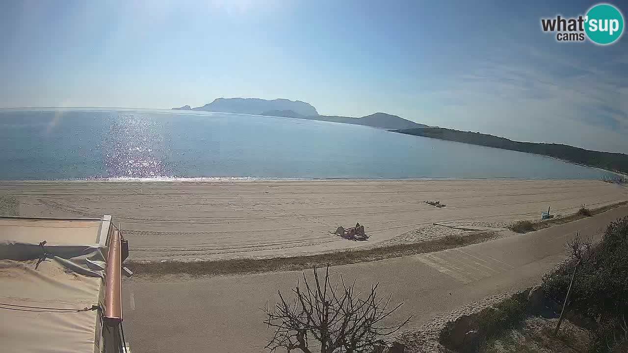 The beach of Pittulongu live webcam Olbia – Sardinia – Italy