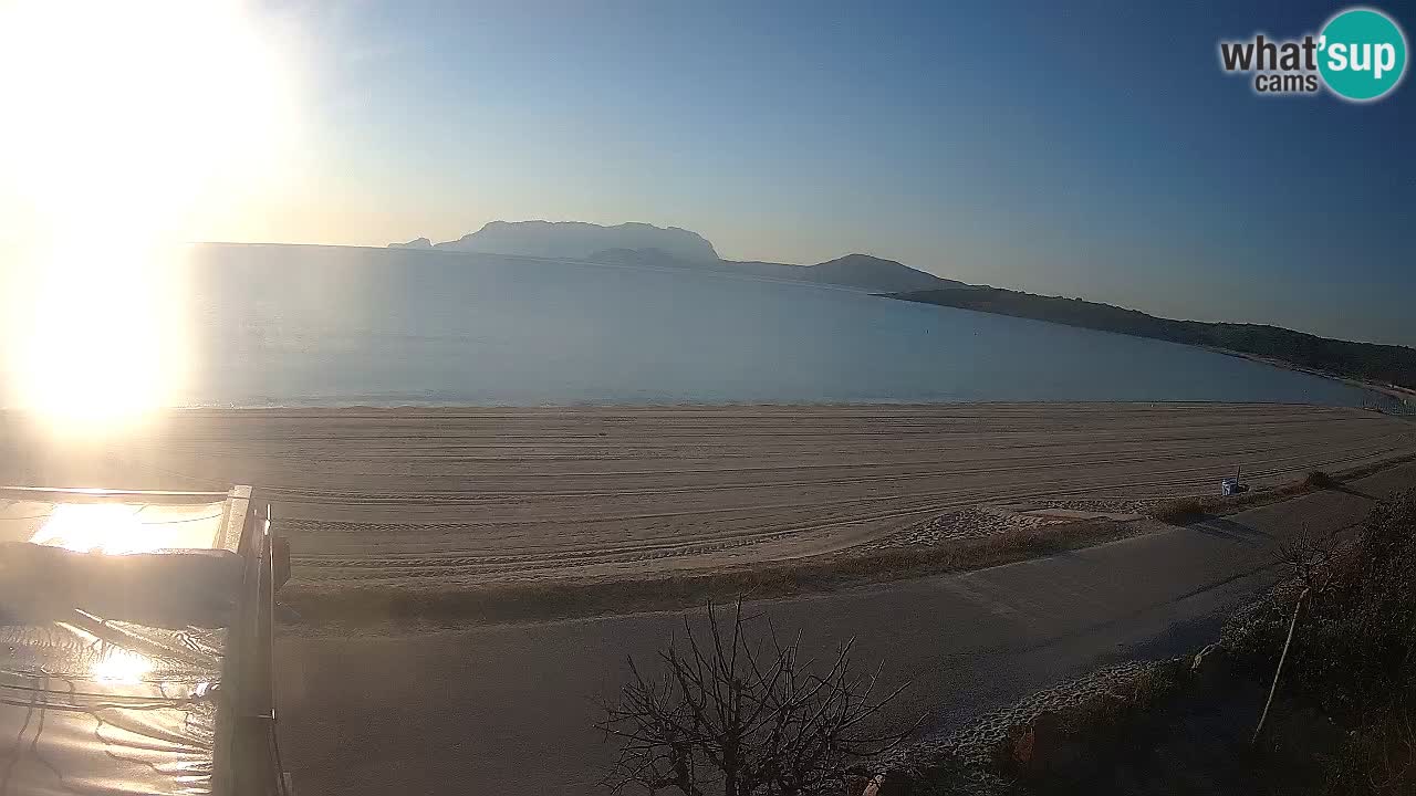 The beach of Pittulongu live webcam Olbia – Sardinia – Italy