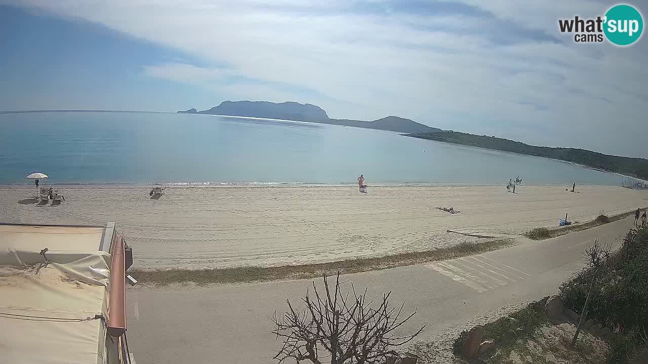 La playa de Pittulongu webcam en vivo Olbia – Cerdeña – Italia