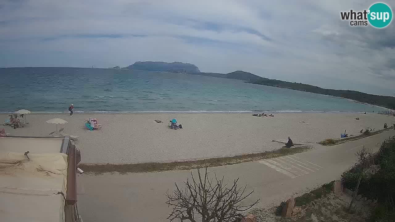 La playa de Pittulongu webcam en vivo Olbia – Cerdeña – Italia