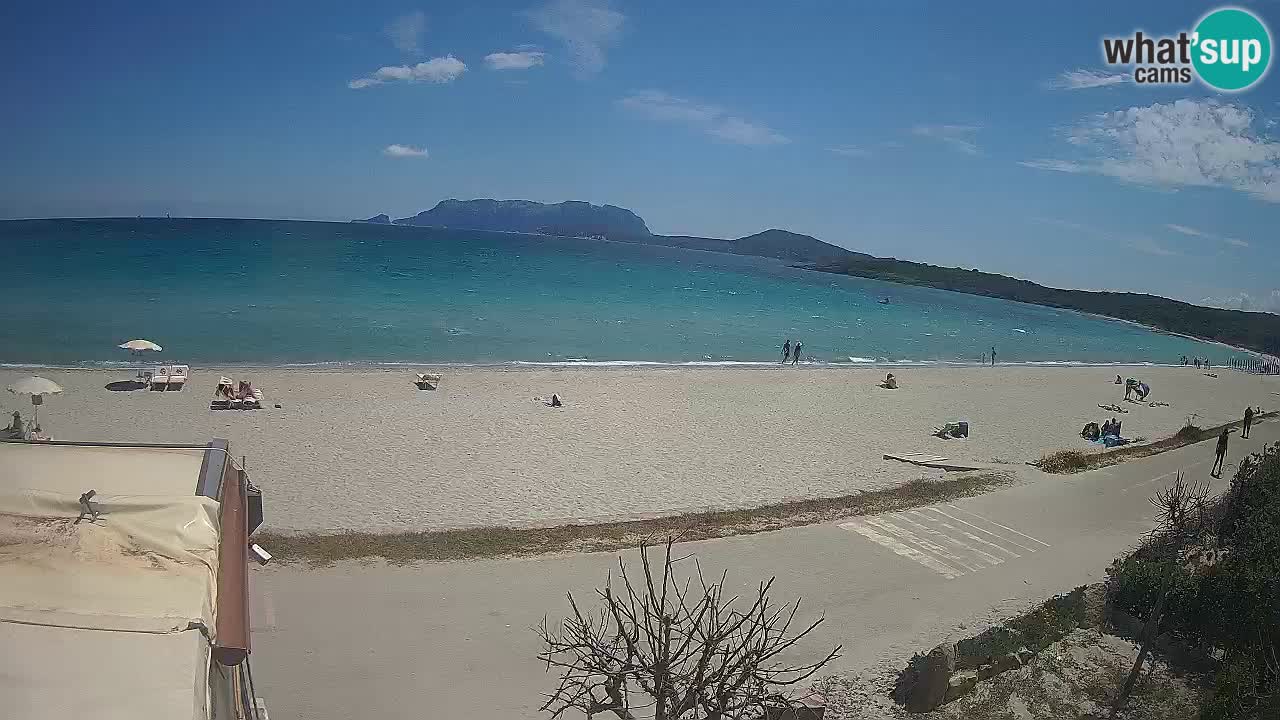 Plaža Pittulongu spletna kamera v živo Olbia – Sardinija – Italija