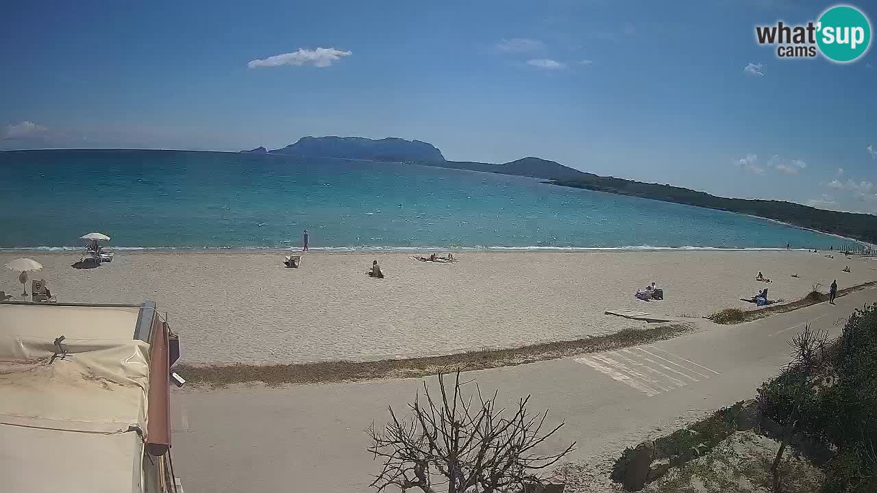La webcam spiaggia Pittulongu vicino Olbia – Sardegna