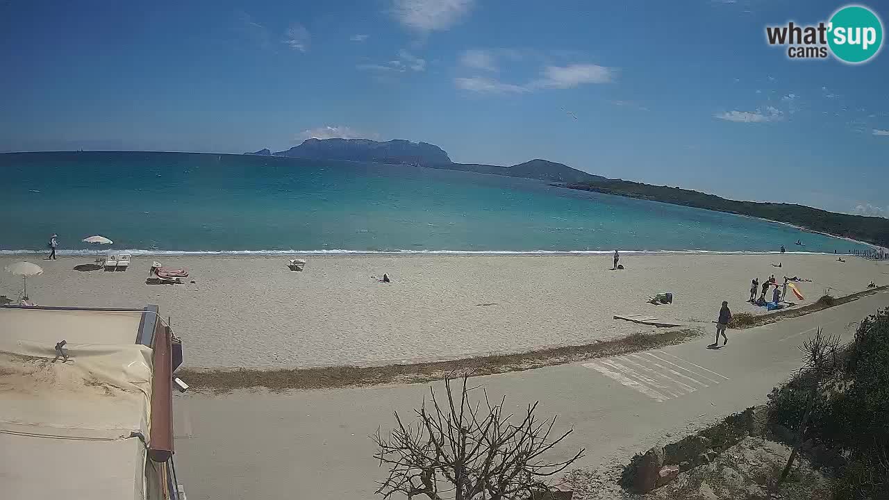 La playa de Pittulongu webcam en vivo Olbia – Cerdeña – Italia