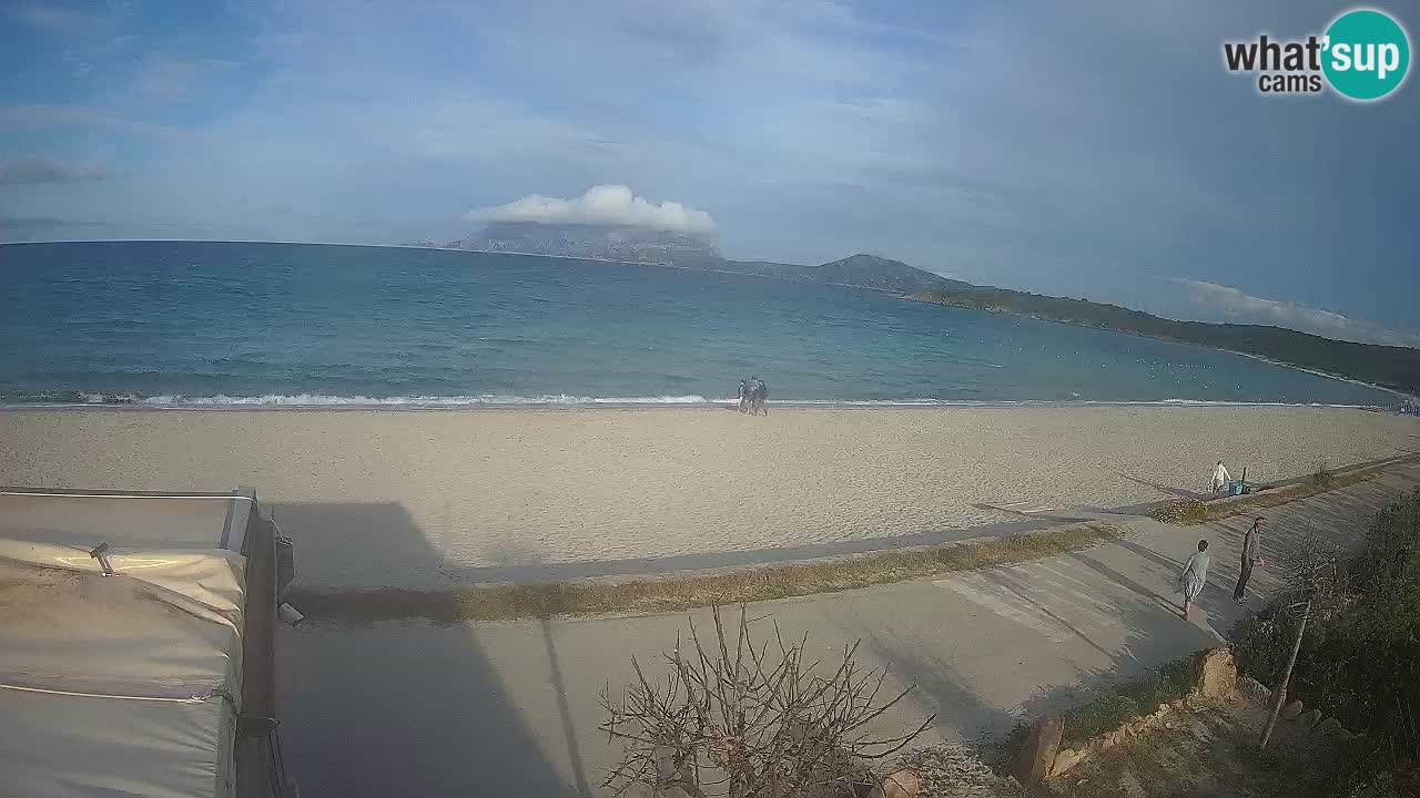 La webcam spiaggia Pittulongu vicino Olbia – Sardegna
