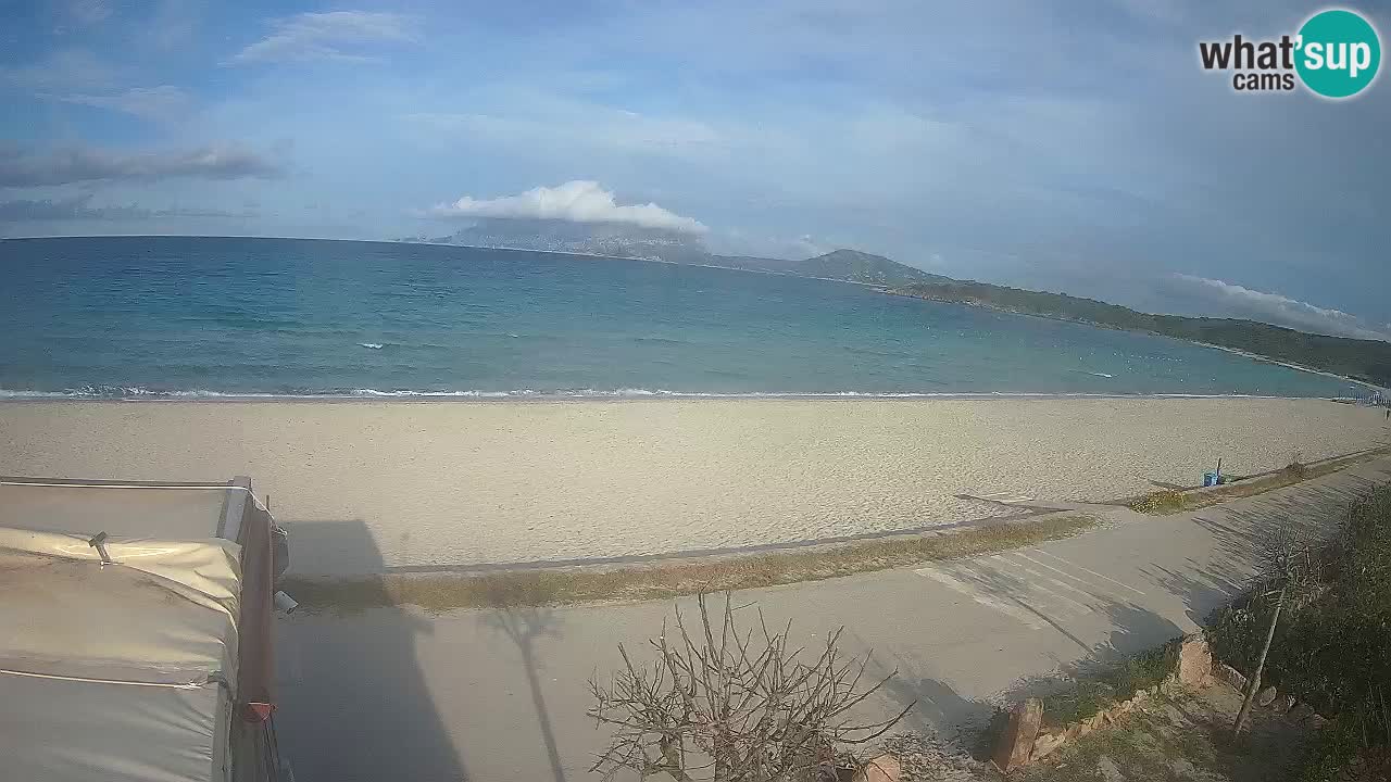The beach of Pittulongu live webcam Olbia – Sardinia – Italy