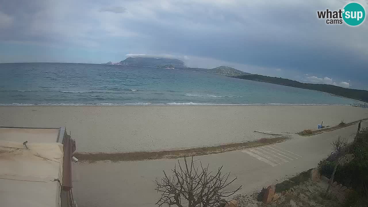 The beach of Pittulongu live webcam Olbia – Sardinia – Italy