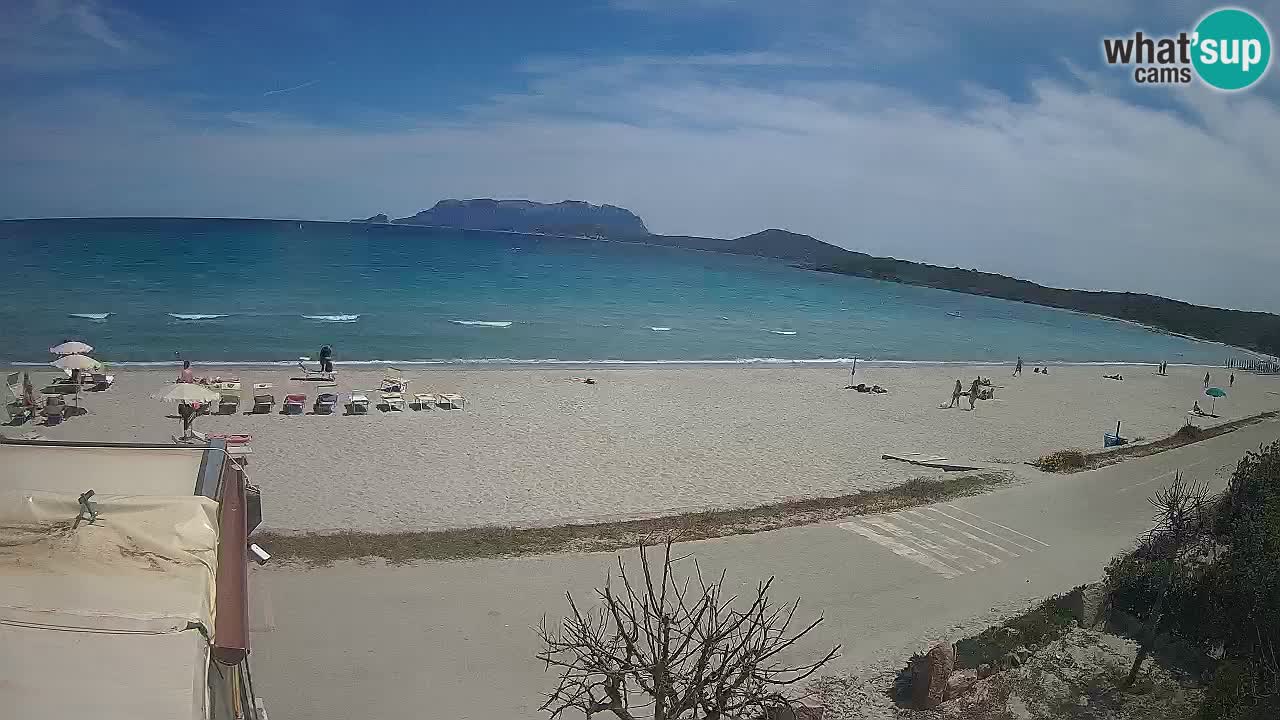 The beach of Pittulongu live webcam Olbia – Sardinia – Italy