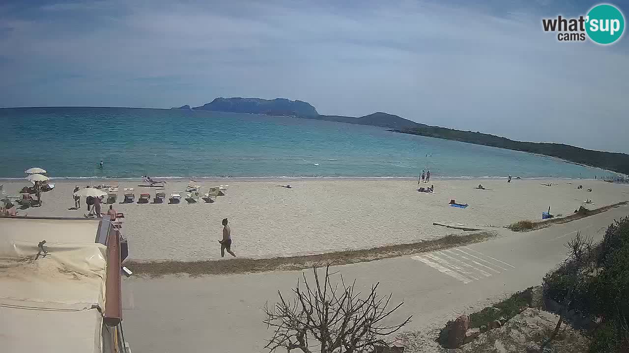 Plaža Pittulongu spletna kamera v živo Olbia – Sardinija – Italija