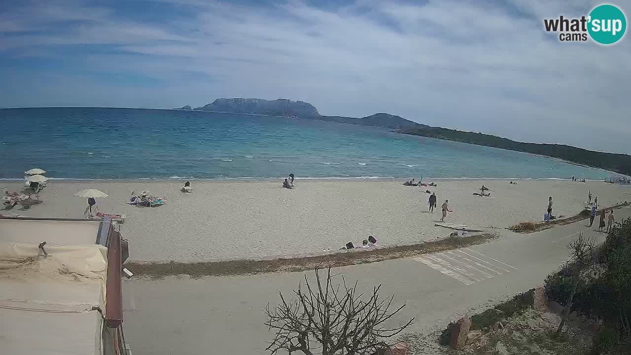 Plaža Pittulongu uživo web kamera Olbia – Sardinija – Italija