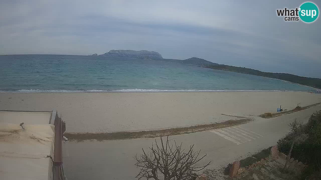 La webcam spiaggia Pittulongu vicino Olbia – Sardegna