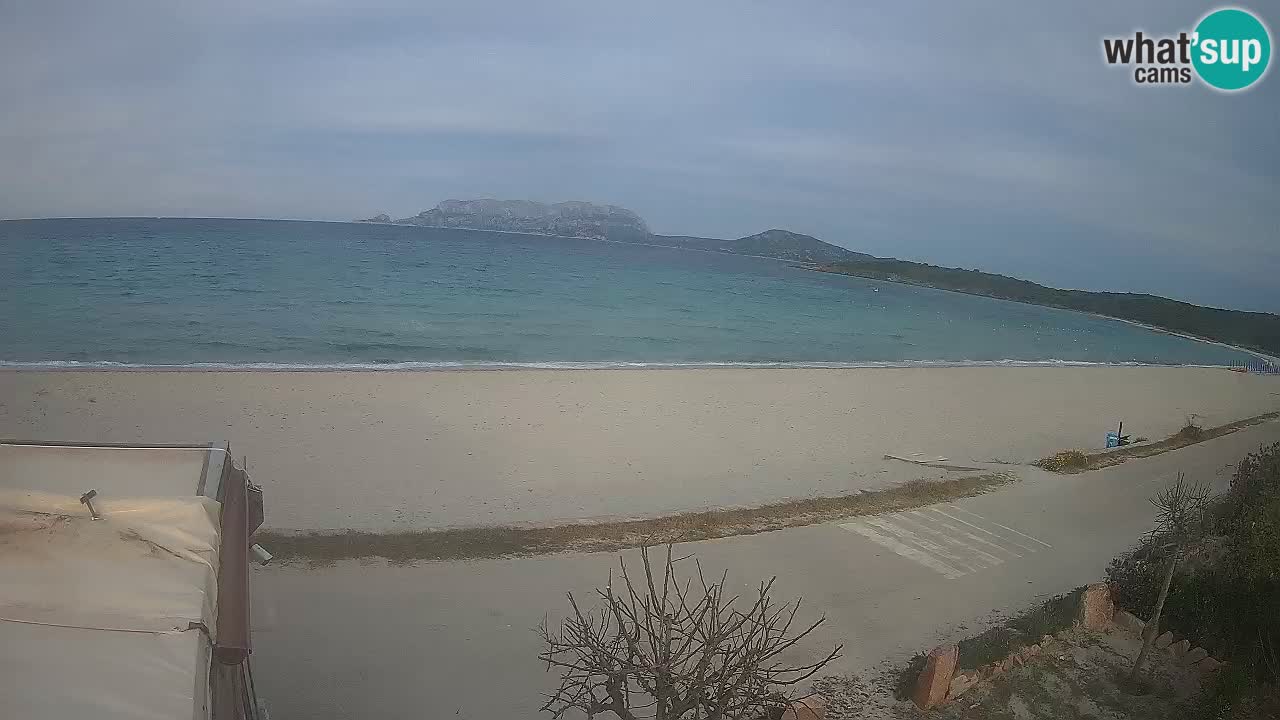 La plage de Pittulongu en direct webcam Olbia – Sardaigne – Italie