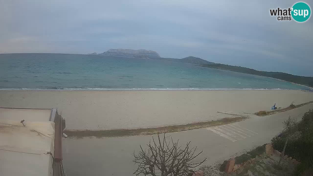 The beach of Pittulongu live webcam Olbia – Sardinia – Italy