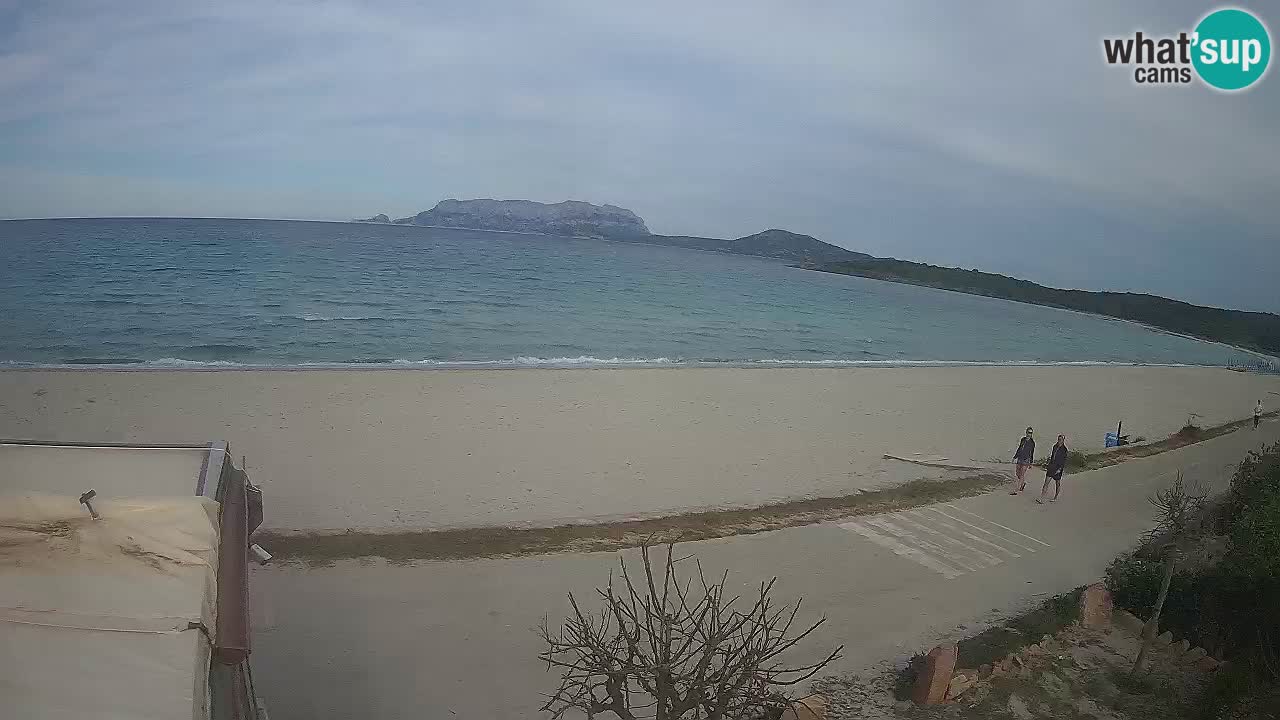 La playa de Pittulongu webcam en vivo Olbia – Cerdeña – Italia