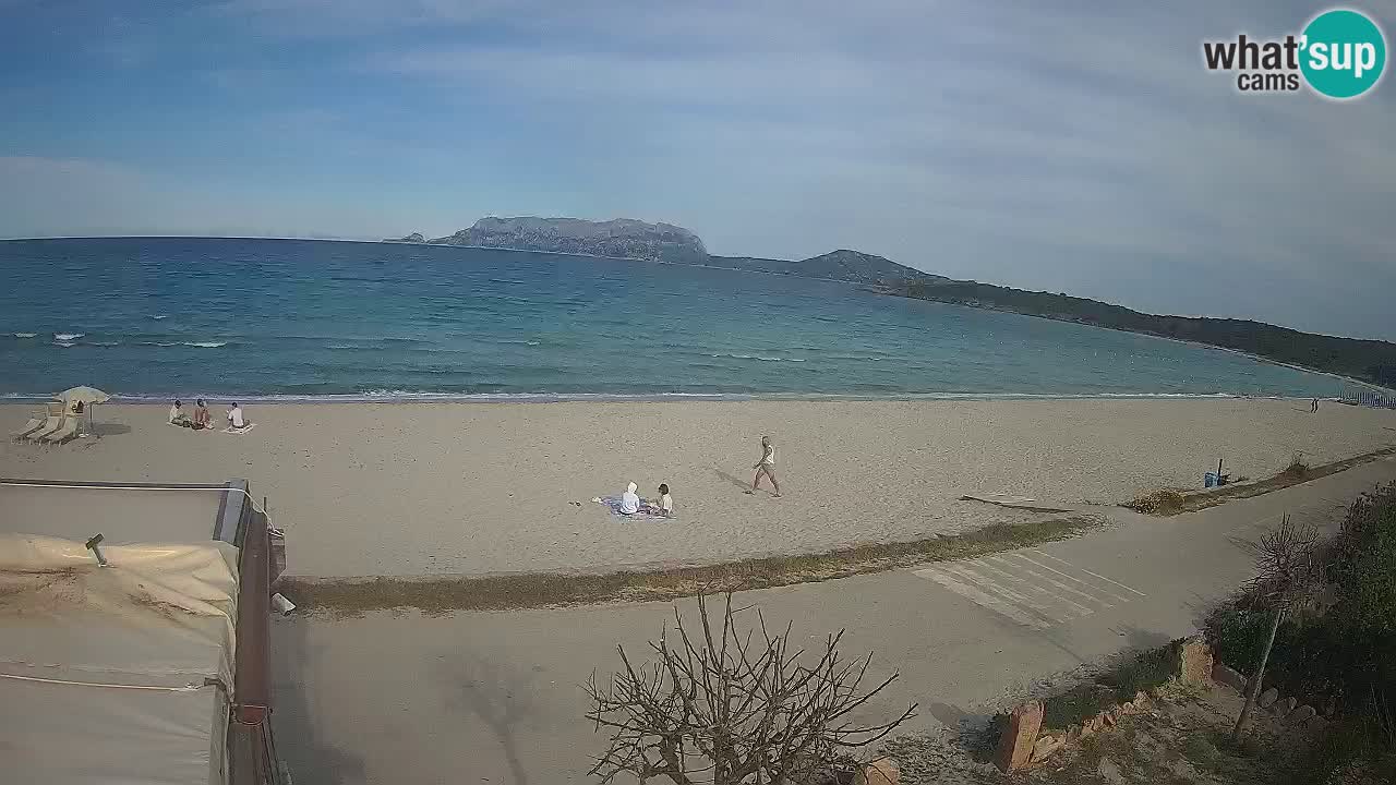 La webcam spiaggia Pittulongu vicino Olbia – Sardegna