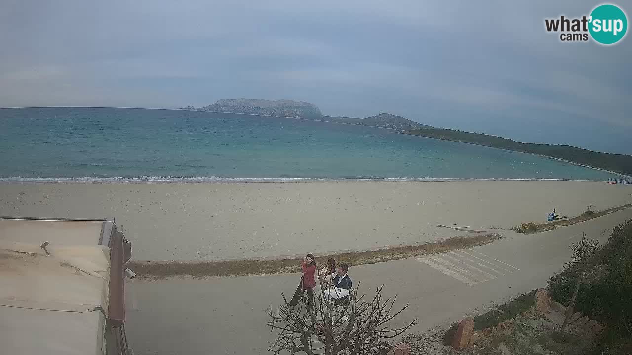 Der Strand von Pittulongu Live-Webcam Olbia – Sardinien – Italien
