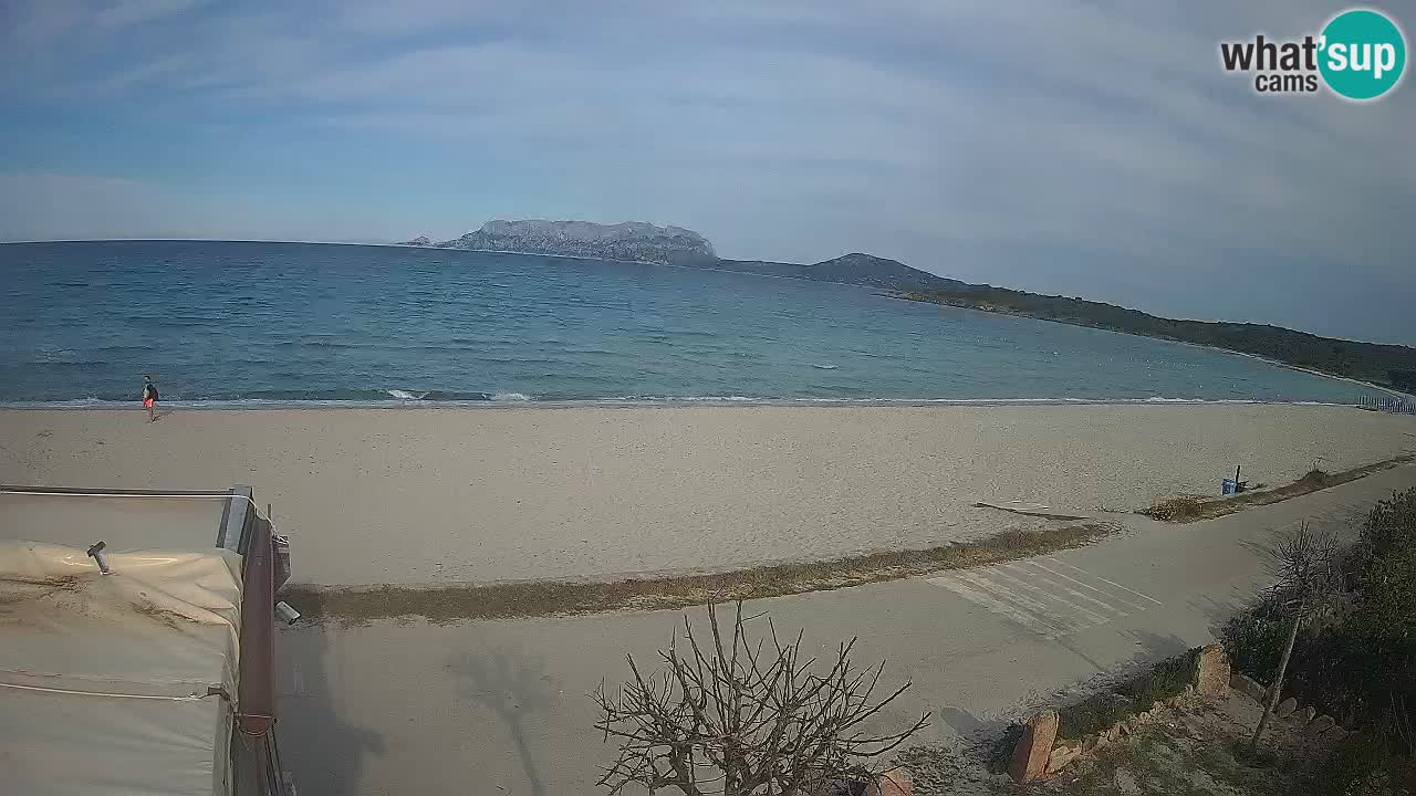 Der Strand von Pittulongu Live-Webcam Olbia – Sardinien – Italien