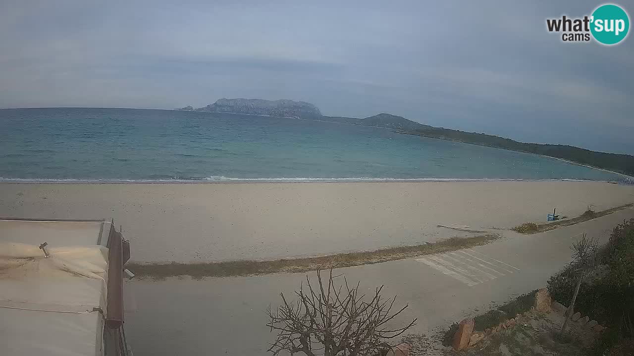 Der Strand von Pittulongu Live-Webcam Olbia – Sardinien – Italien