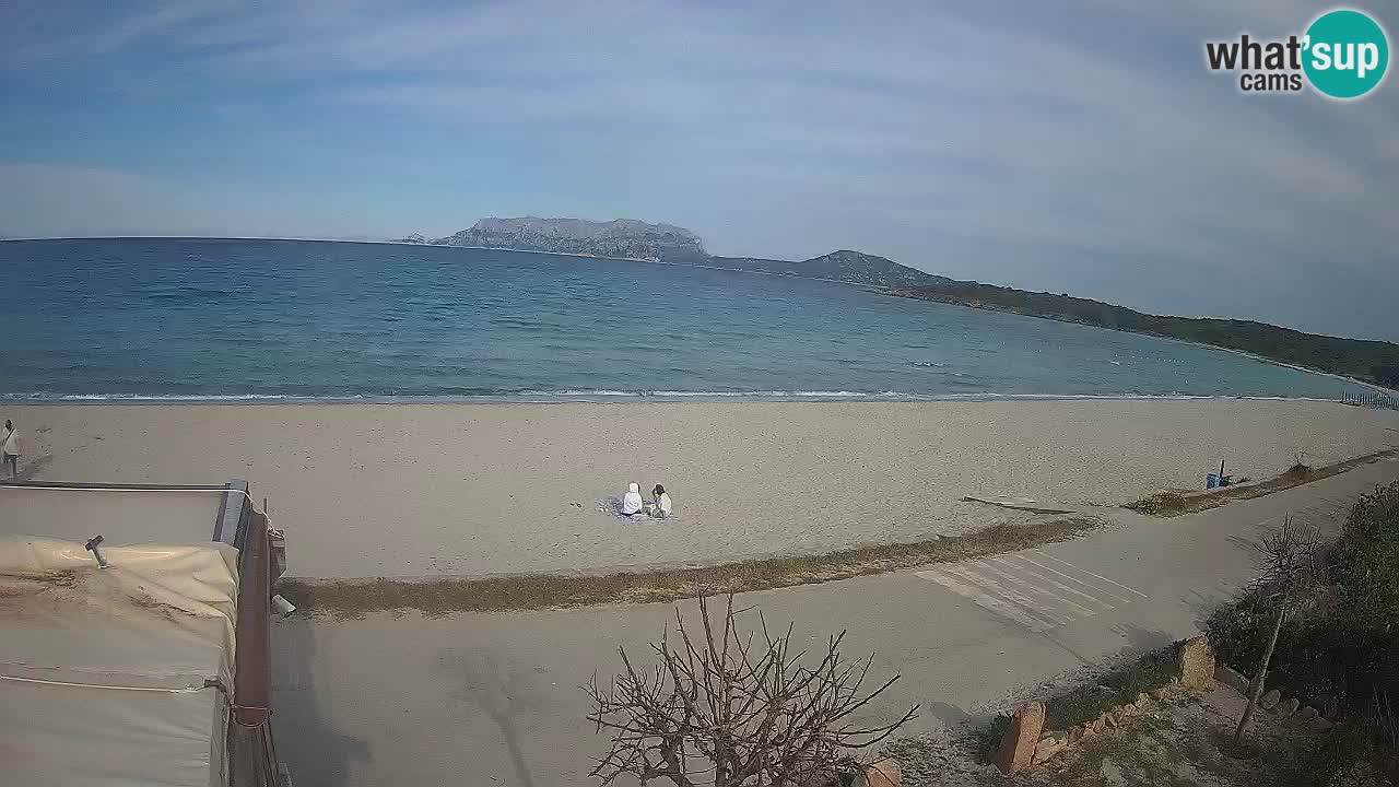 Der Strand von Pittulongu Live-Webcam Olbia – Sardinien – Italien