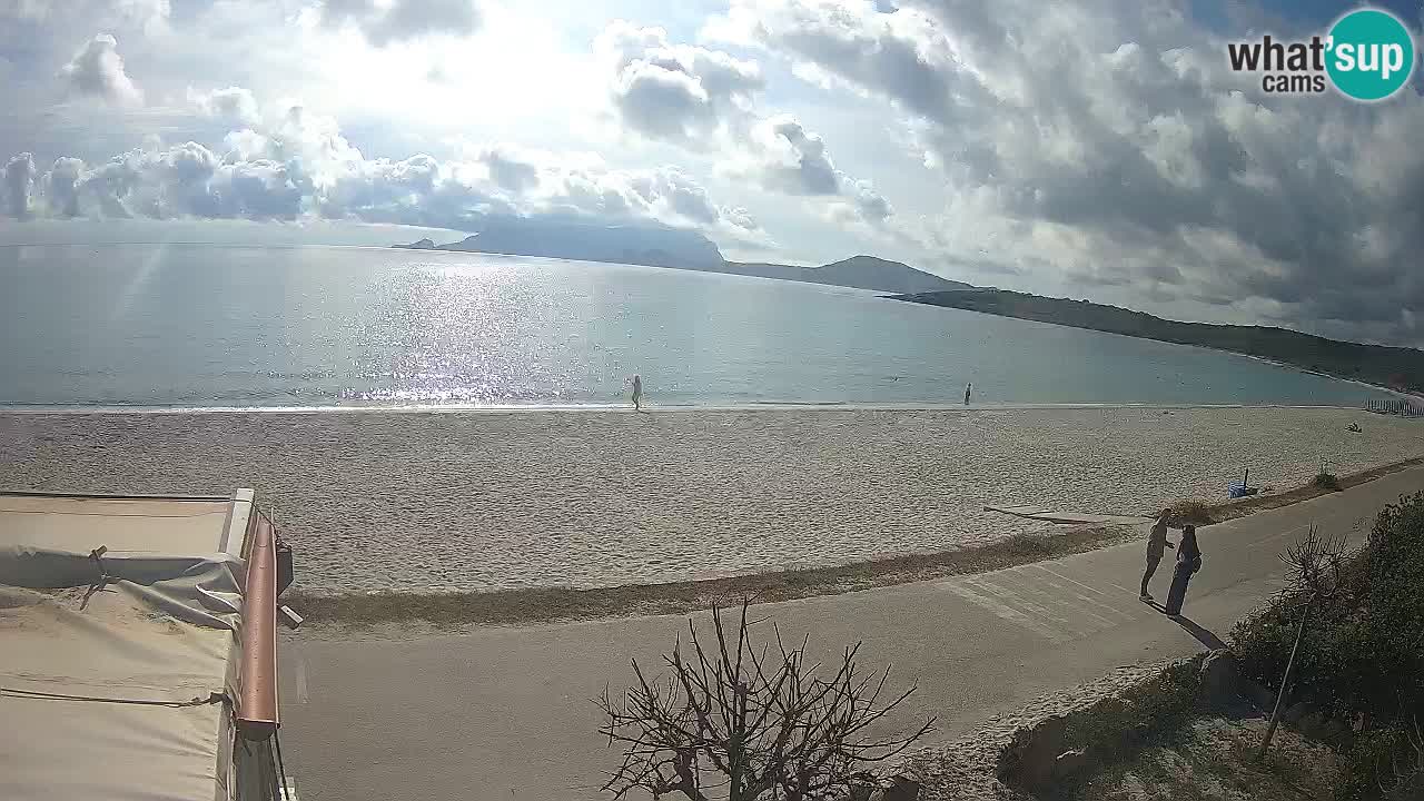 Der Strand von Pittulongu Live-Webcam Olbia – Sardinien – Italien