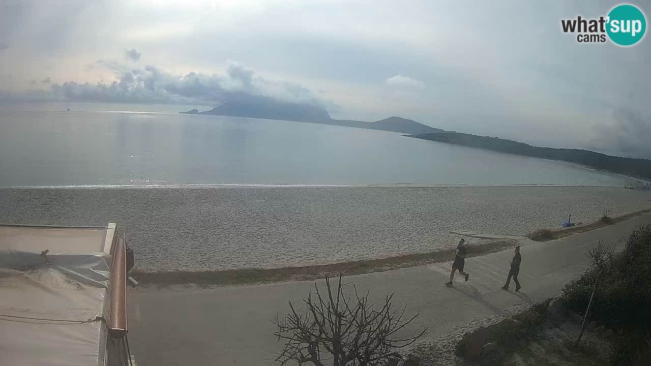 Plaža Pittulongu spletna kamera v živo Olbia – Sardinija – Italija