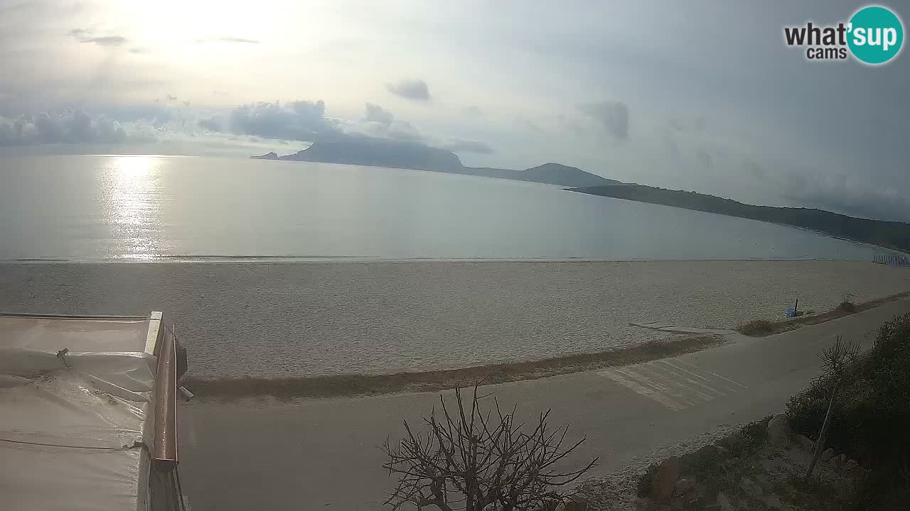 La webcam spiaggia Pittulongu vicino Olbia – Sardegna