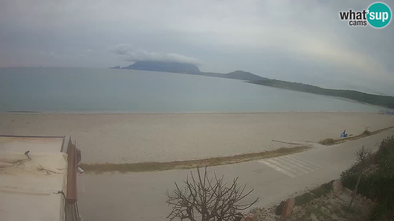 The beach of Pittulongu live webcam Olbia – Sardinia – Italy