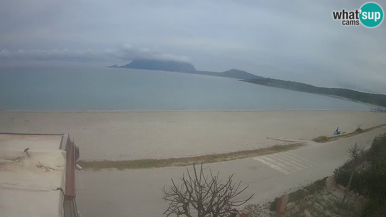La webcam spiaggia Pittulongu vicino Olbia – Sardegna