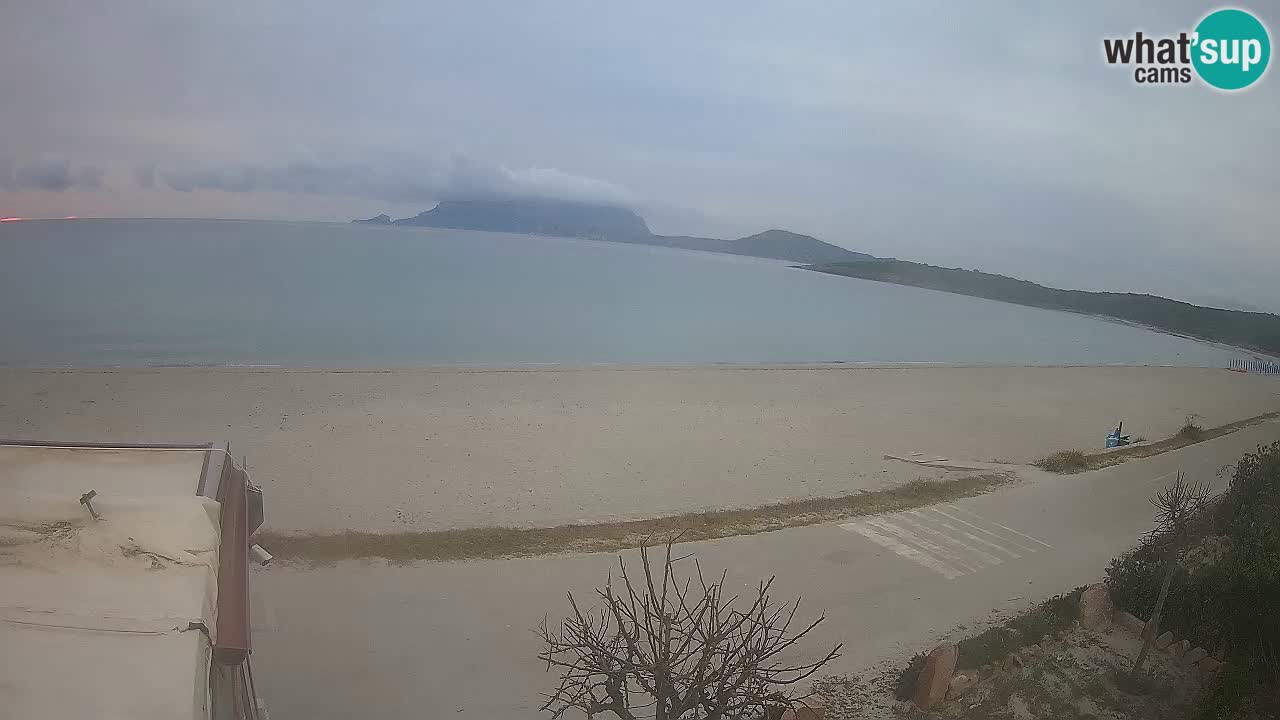 Plaža Pittulongu spletna kamera v živo Olbia – Sardinija – Italija