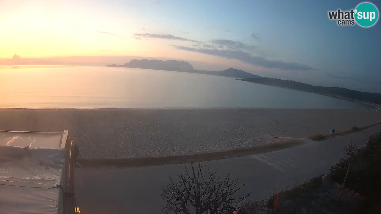 Plaža Pittulongu uživo web kamera Olbia – Sardinija – Italija