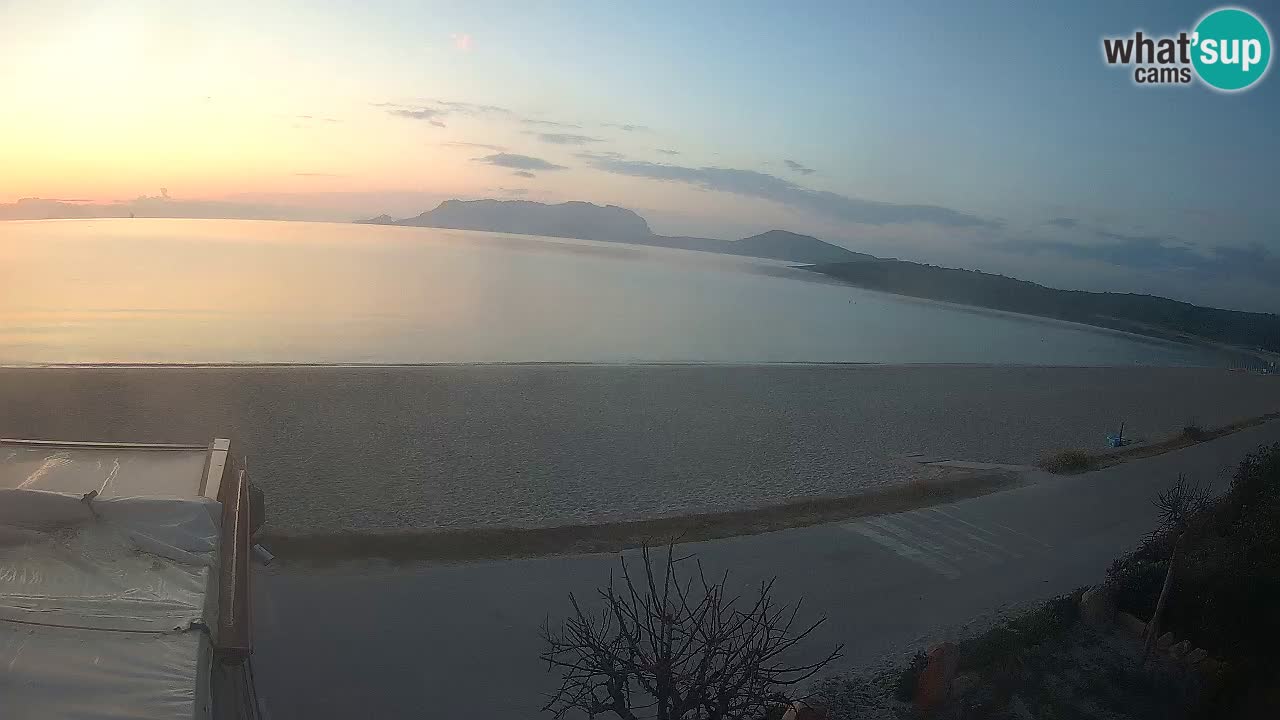 Der Strand von Pittulongu Live-Webcam Olbia – Sardinien – Italien