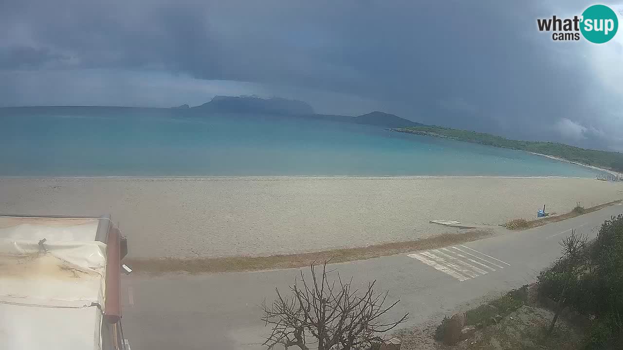 Der Strand von Pittulongu Live-Webcam Olbia – Sardinien – Italien