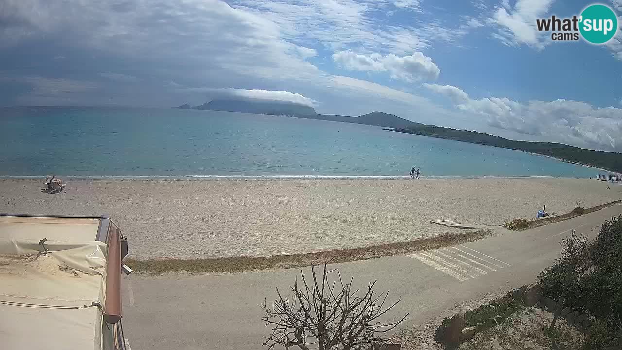 Der Strand von Pittulongu Live-Webcam Olbia – Sardinien – Italien