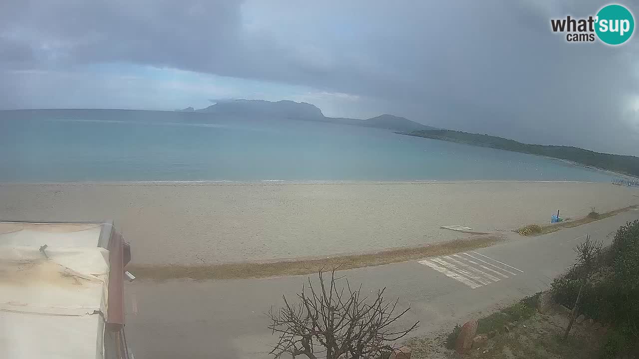 Plaža Pittulongu uživo web kamera Olbia – Sardinija – Italija