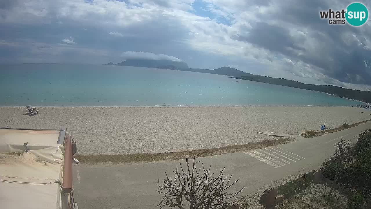 La plage de Pittulongu en direct webcam Olbia – Sardaigne – Italie