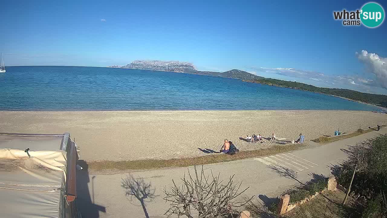 La plage de Pittulongu en direct webcam Olbia – Sardaigne – Italie