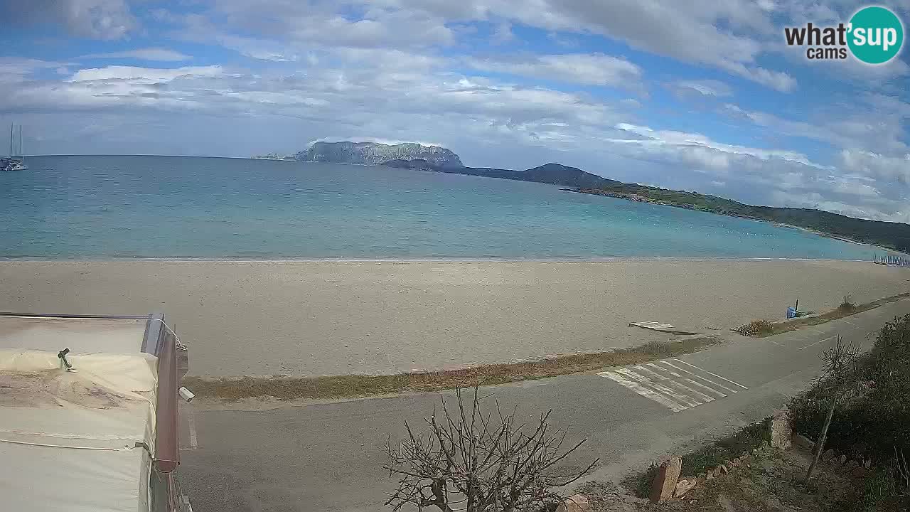 Plaža Pittulongu uživo web kamera Olbia – Sardinija – Italija