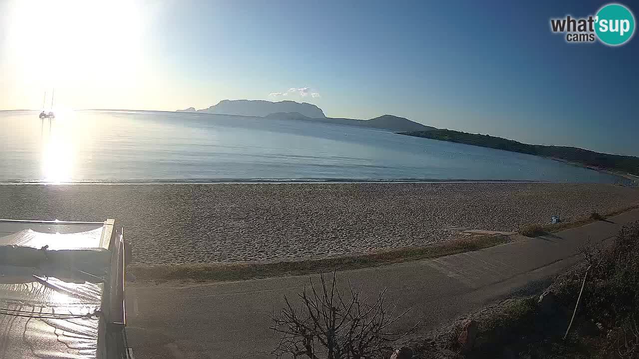 The beach of Pittulongu live webcam Olbia – Sardinia – Italy