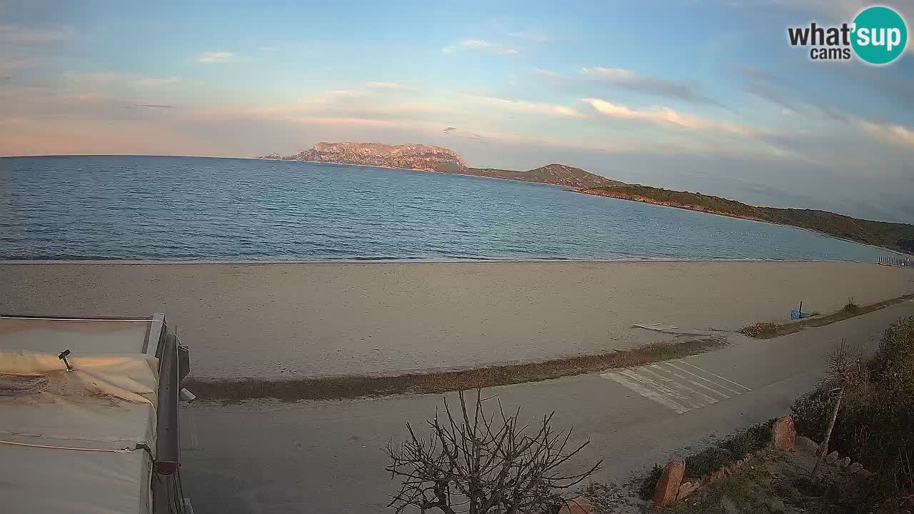 Plaža Pittulongu spletna kamera v živo Olbia – Sardinija – Italija