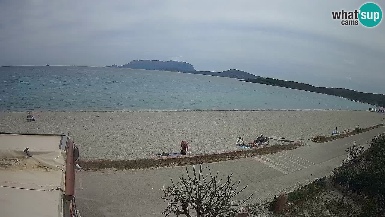 La playa de Pittulongu webcam en vivo Olbia – Cerdeña – Italia