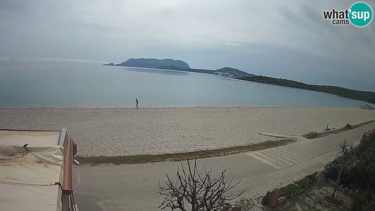 Plaža Pittulongu spletna kamera v živo Olbia – Sardinija – Italija