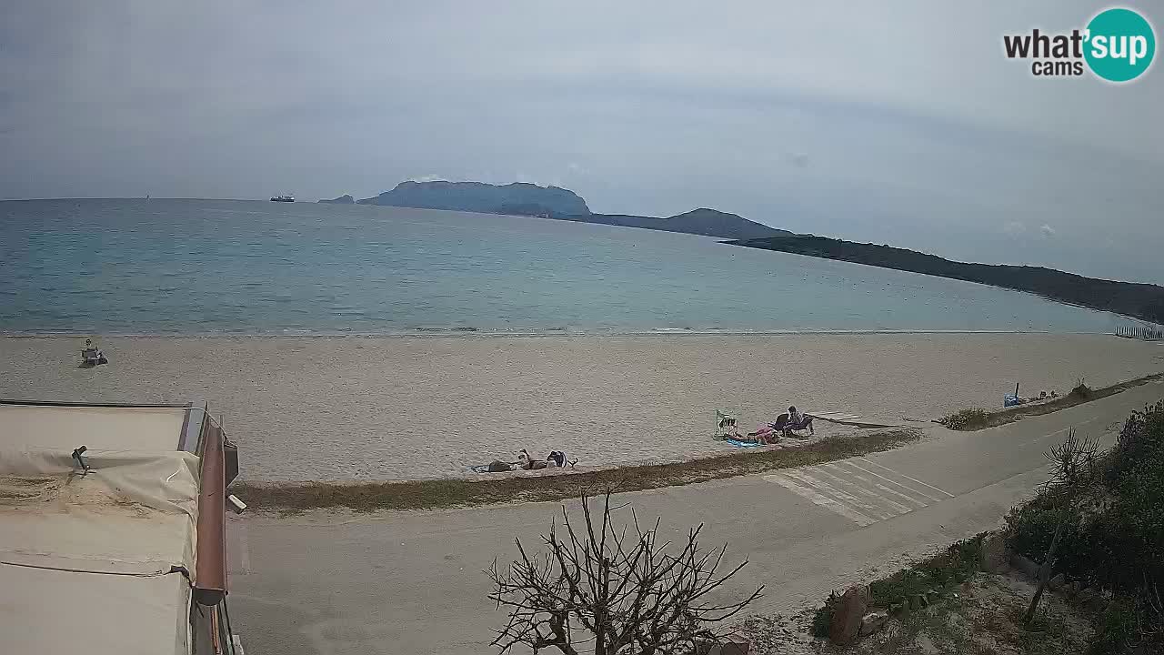 Plaža Pittulongu spletna kamera v živo Olbia – Sardinija – Italija
