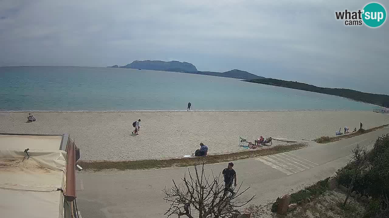 Plaža Pittulongu spletna kamera v živo Olbia – Sardinija – Italija
